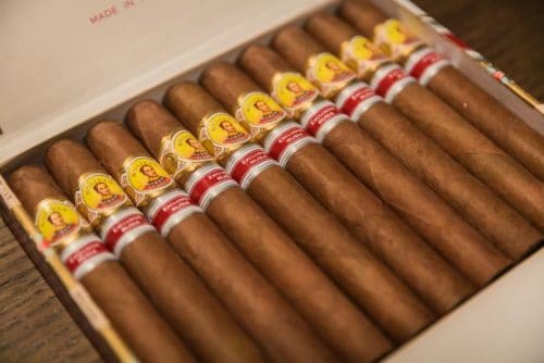 Bolilvar Double Corona Regional Edition