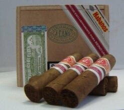 flor de cano short robusto2