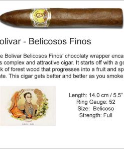 Bolivar BelicososFinos 22