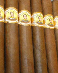 Bolivar Corona Extra 9 Bolivar Coronas Extras 3