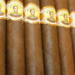 Bolivar Coronas Extras 31