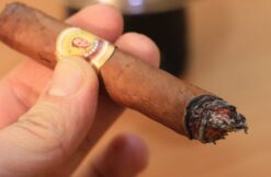 Bolivar Corona Extra 8 bolivar corona extra 4