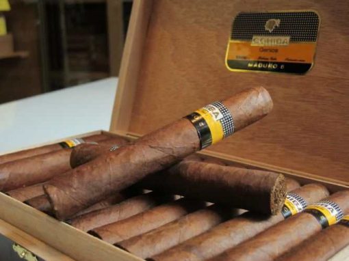 trabucuri cohiba genios maduro 25