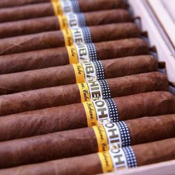 Cohiba lanceros 2