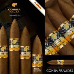 01 cohiba piramides extra full 1