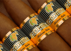 Cohiba Piramides EXTRA 11 Cohiba Piramides Extra 2