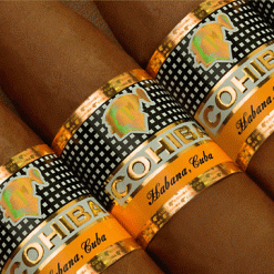 Cohiba Piramides Extra 2