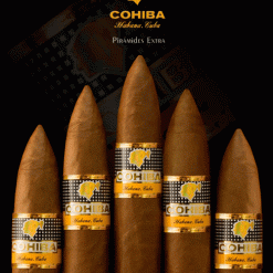Cohiba Piramides Extra 5