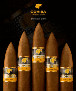 Cohiba Piramides EXTRA 12 Cohiba Piramides Extra 5