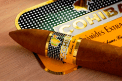 Cohiba Piramides EXTRA 10 cohiba piramides extra 1