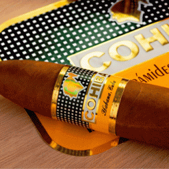 cohiba piramides extra 1