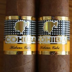 cohiba robustos box