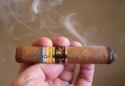 Cohiba Siglo 6 Gran Reserva 2003 15 230909010101111 480x330