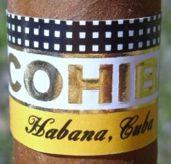 Cohiba Siglo VI Ceramic Jar 13 03 27 10CohibaEsplendido003