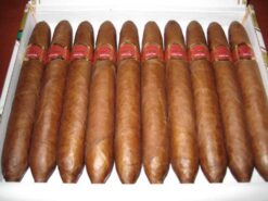 Cuaba Salomon Box of 10s 7 Cuab.Dist. 10