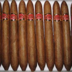 Cuaba Salomon.10