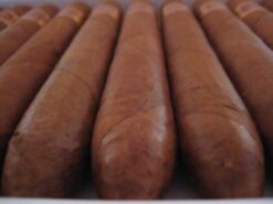 Cuaba Salomon Box of 10s 6 CuabaSalom.10