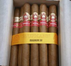 H Upmann Magnum 50s