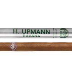 1210thumbhupmannmonarch 1