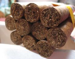 Hoyo de Monterrey Epicure Especial 7 HdMEpiEsp 04