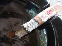 Hoyo de Monterrey Epicure Especial 8 HdMEpiEsp 12