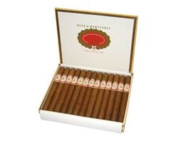 Hoyo De Monterrey Churchills