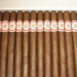 hoyo de monterrey double corona