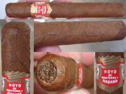 Hoyo De Monterrey Short Hoyo Coronas 5 12 21 08HDMShortCoronas001