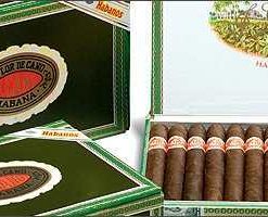 FlorDeCano Danner 11