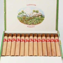 La Flor De Cano Corona
