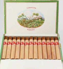 La Flor De Cano Corona
