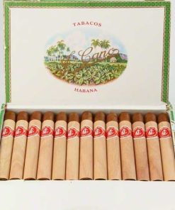 La Flor De Cano Corona