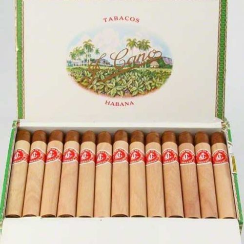 La Flor De Cano Corona