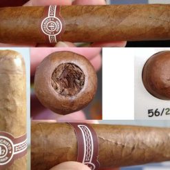 09 05 09MontePetitEdmundo001