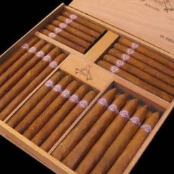 Montecristo Selecion 50's