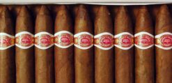 Romeo y Julieta Belicoso 15 Ryjbelicososnaer