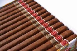 Romeo y Julieta Churchills 4 640px Romeo y julieta churchills 2