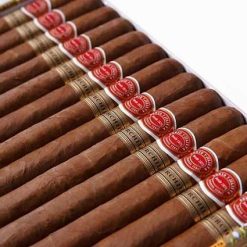 640px Romeo y julieta churchills 2