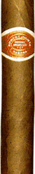rj corgr