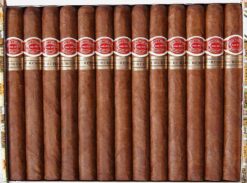 Romeo y Julieta Churchills 5 Romeo y julieta churchills 1