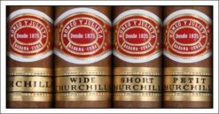 3. Romeo y Julieta Petit Churchills