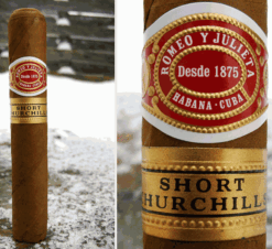 Romeo y Julieta Short Churchill5