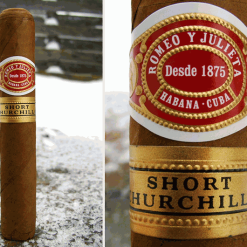Romeo y Julieta Short Churchill5