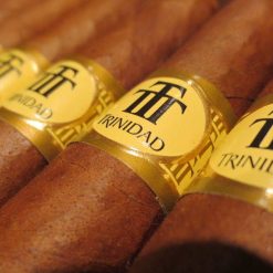 Trinidad Vigia 11