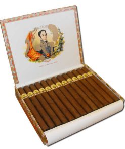 bolivar coronas gigantes 67