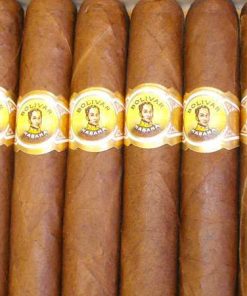 bolivar coronas gigantes a2482