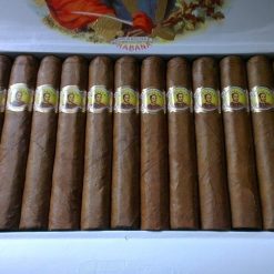 Bolivar Corona Extra