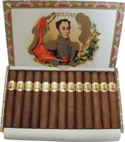 Bolivar Pettit Corona 7 BolivarCoronasJuniorBX