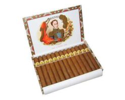 Bolivar Pettit Corona 6 bolivar petit corona 25