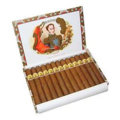 bolivar petit corona 25